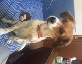 Ellie at 14 months old