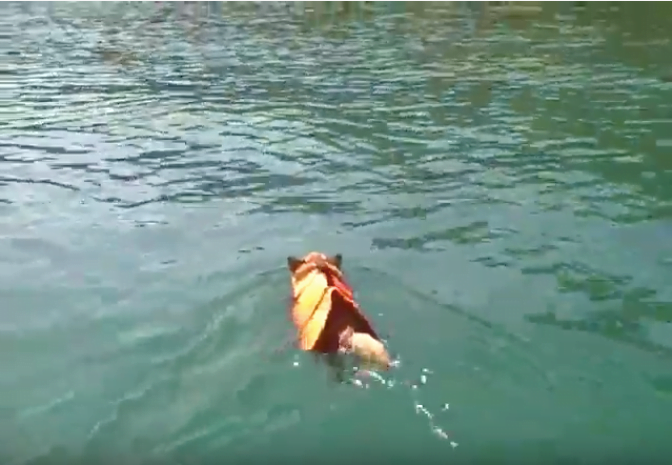 Mitzie love to swim